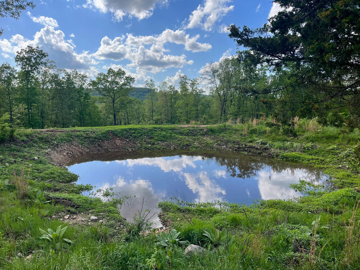 Seasonal Pond