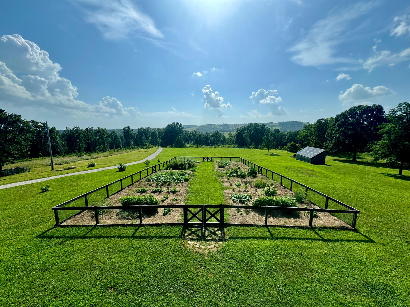 Garden
